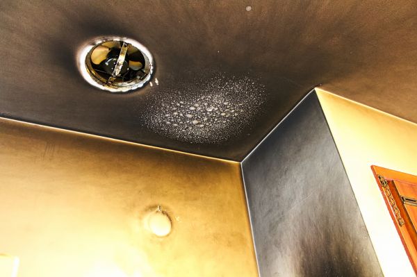 Smoke Damage Remediation in Tarpon Springs